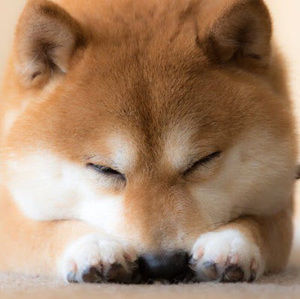 Meet your Posher, Gabriel